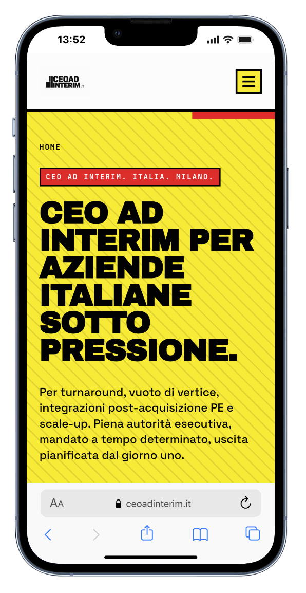 CEO ad interim