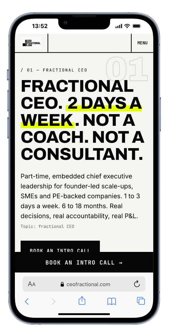 Fractional CEO